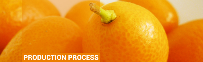 Production Process